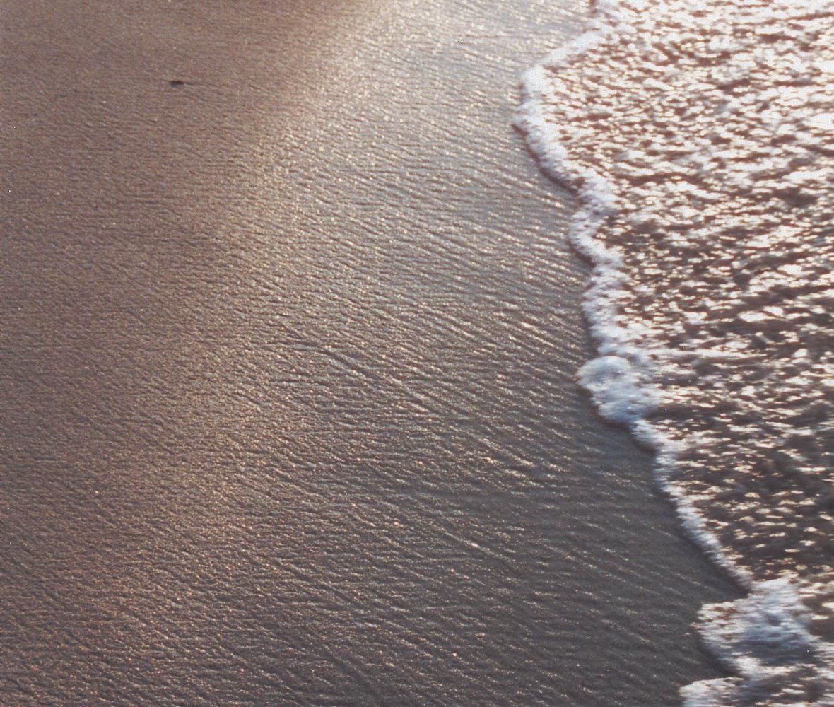 erosion on beach