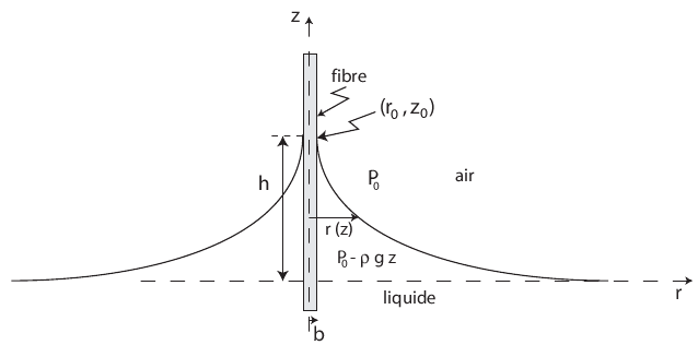 [figure:schema.png]