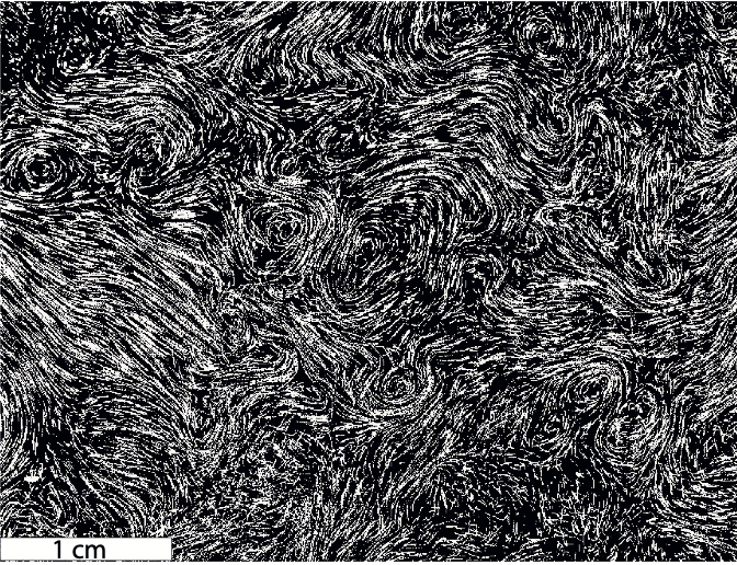 3D
                    turbulence driven homogenously and remotely by
                    magnetic particles. Fluid tracer trajectories within
                    the laser sheet