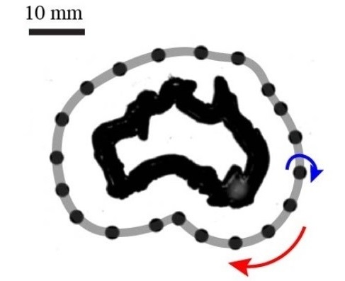 Spinning particles in fluids